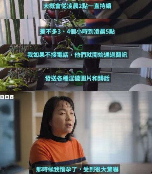 女子爆料淄博新闻视频大全,揭秘背后真相